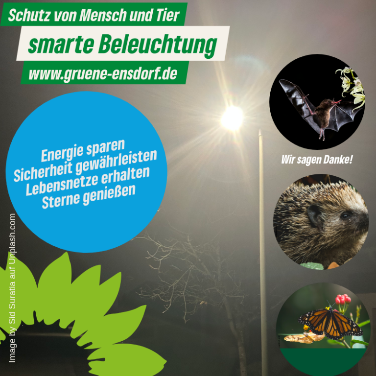 Grüne  fordern Standortsichtung für smarte Beleuchtung