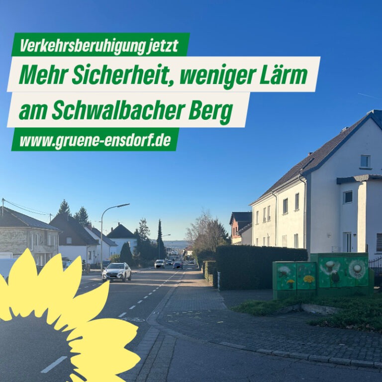 Mehr Sicherheit, weniger Lärm am Schwalbacher Berg