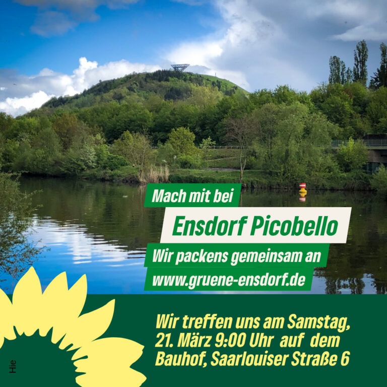 Saarland Picobello