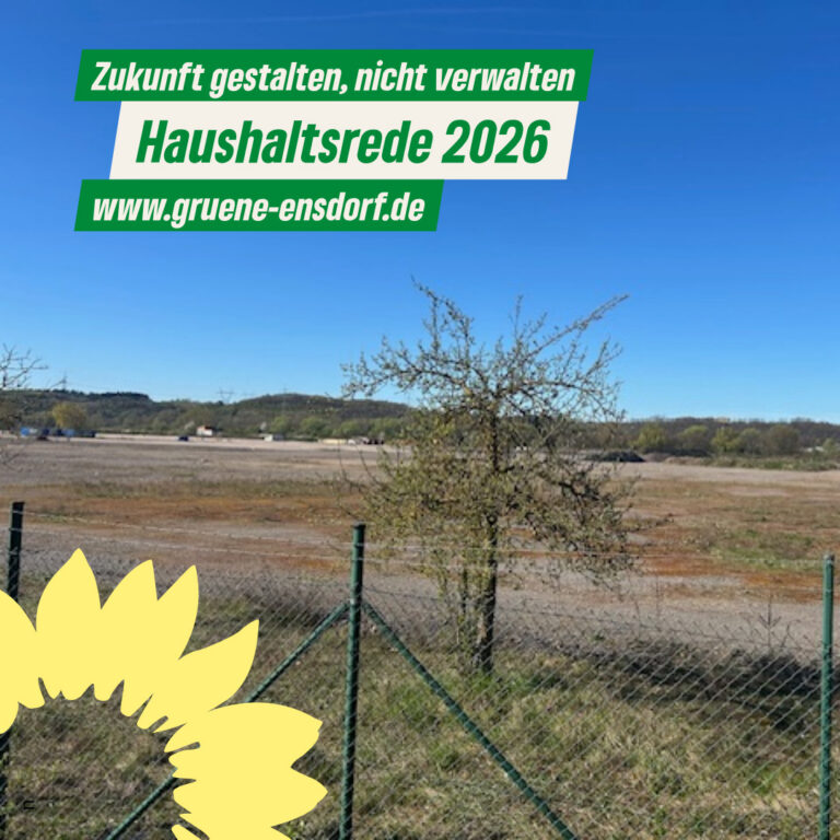 Haushaltsrede Fraktion Bündnis 90/Die Grünen Die Linke – Haushaltsjahr 2026