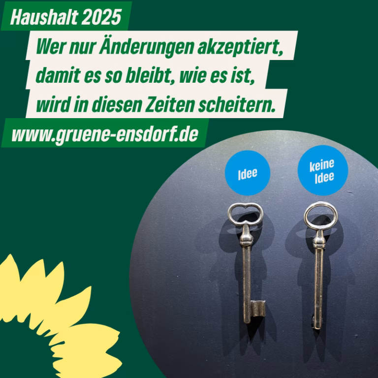 Haushaltsrede der Fraktion Bündnis 90/Die Grünen Die Linke