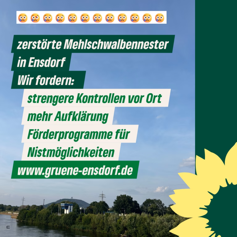 Ensdorfer Grüne entsetzt über zerstörte Mehlschwalben-Nester